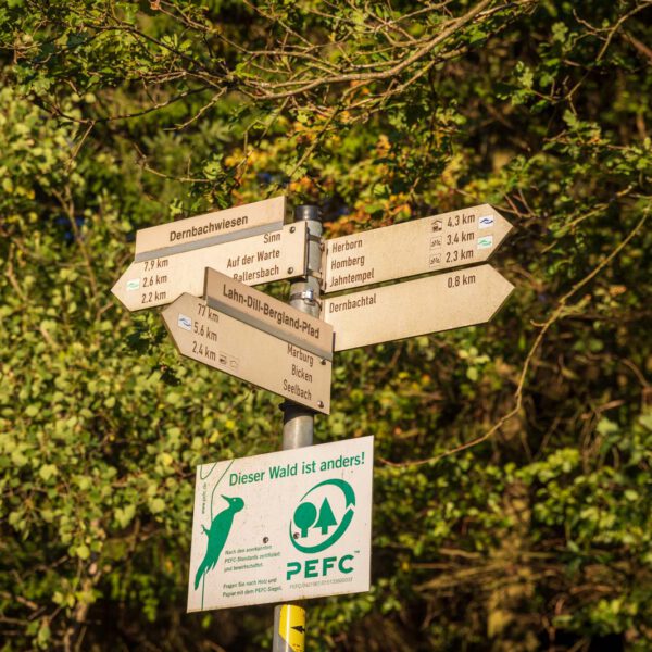 Deutschland, Europa, Europe, Extratour, Germany, Hessen, Hessia, Hiking, Hinterland, Lahn-Dill-Bergland, Location, Ort, Sommer, Summer, Wandern