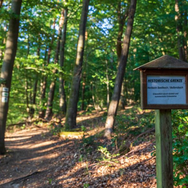 Deutschland, Europa, Europe, Extratour, Germany, Hessen, Hessia, Hiking, Hinterland, Lahn-Dill-Bergland, Location, Ort, Sommer, Summer, Wandern