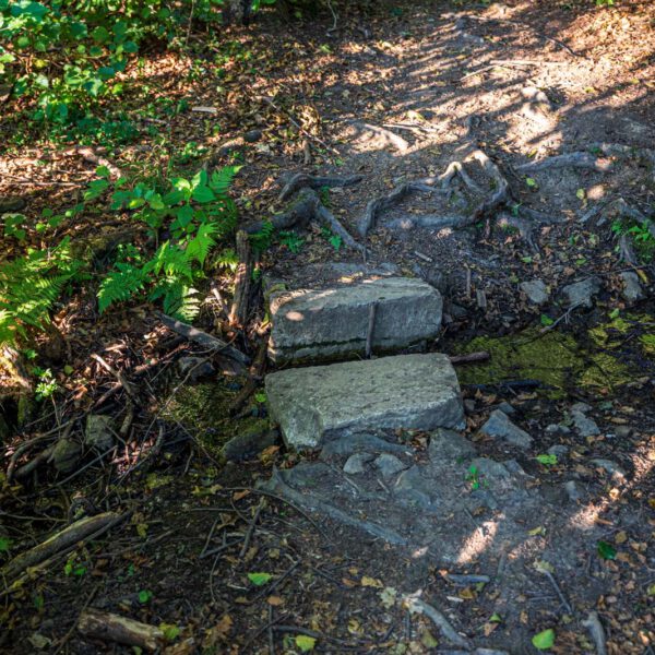 Deutschland, Europa, Europe, Extratour, Germany, Hessen, Hessia, Hiking, Hinterland, Lahn-Dill-Bergland, Location, Ort, Sommer, Summer, Wandern