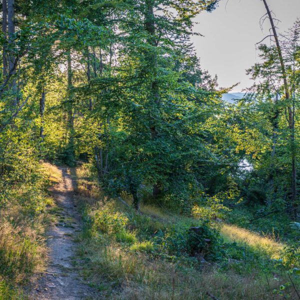 Deutschland, Europa, Europe, Extratour, Germany, Hessen, Hessia, Hiking, Hinterland, Lahn-Dill-Bergland, Location, Ort, Sommer, Summer, Wandern
