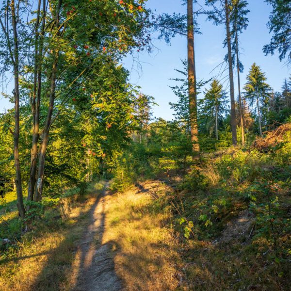 Deutschland, Europa, Europe, Extratour, Germany, Hessen, Hessia, Hiking, Hinterland, Lahn-Dill-Bergland, Location, Ort, Sommer, Summer, Wandern