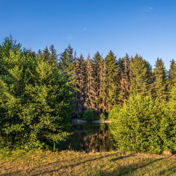 Deutschland, Europa, Europe, Extratour, Germany, Hessen, Hessia, Hiking, Hinterland, Lahn-Dill-Bergland, Location, Ort, Sommer, Summer, Wandern