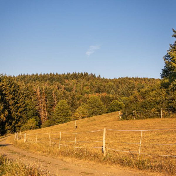 Deutschland, Europa, Europe, Extratour, Germany, Hessen, Hessia, Hiking, Hinterland, Lahn-Dill-Bergland, Location, Ort, Sommer, Summer, Wandern