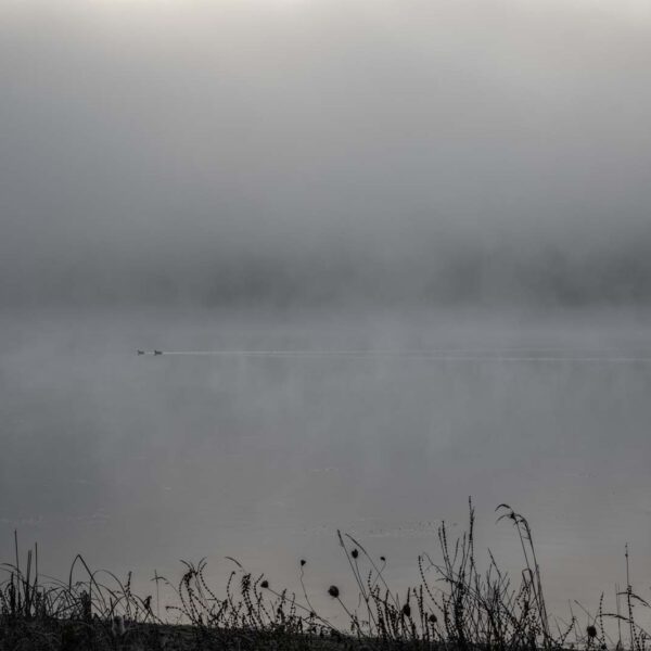 Deutschland, Europa, Europe, Germany, Hessen, Hessia, Hinterland, Location, Morgen, Morning, Ort, See, lake