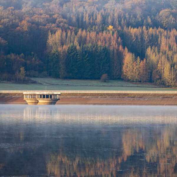 Deutschland, Europa, Europe, Germany, Hessen, Hessia, Hinterland, Location, Morgen, Morning, Ort, See, lake