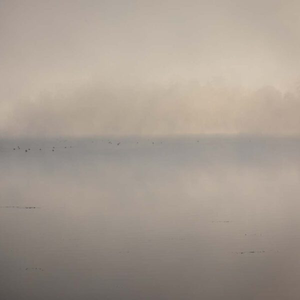 Deutschland, Europa, Europe, Germany, Hessen, Hessia, Hinterland, Location, Morgen, Morning, Ort, See, lake