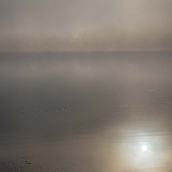 Deutschland, Europa, Europe, Germany, Hessen, Hessia, Hinterland, Location, Morgen, Morning, Ort, See, lake