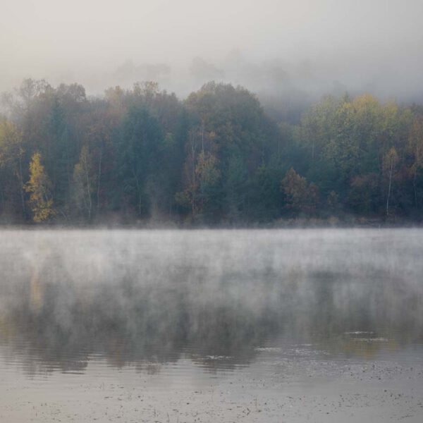 Deutschland, Europa, Europe, Germany, Hessen, Hessia, Hinterland, Location, Morgen, Morning, Ort, See, lake