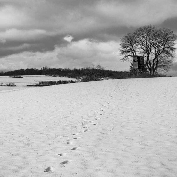 Deutschland, Europa, Europe, Germany, Hessen, Hessia, Hinterland, Location, Ort, Sonne, Windrad, Winter, sun