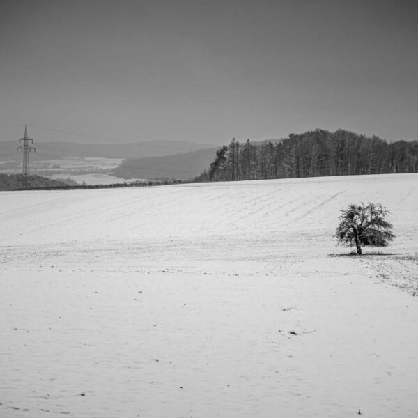 Deutschland, Europa, Europe, Germany, Gladenbach, Hessen, Hessia, Location, Ort, Schnee, Snow, Winter