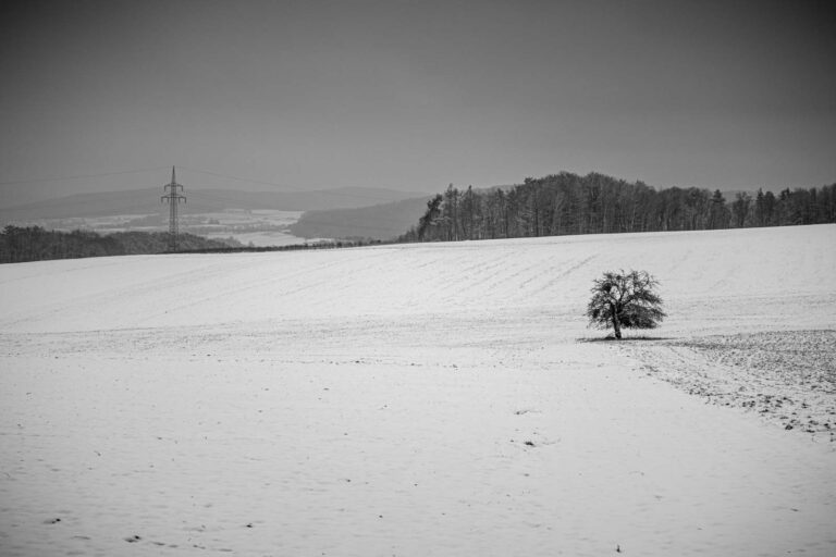 Deutschland, Europa, Europe, Germany, Gladenbach, Hessen, Hessia, Location, Ort, Schnee, Snow, Winter