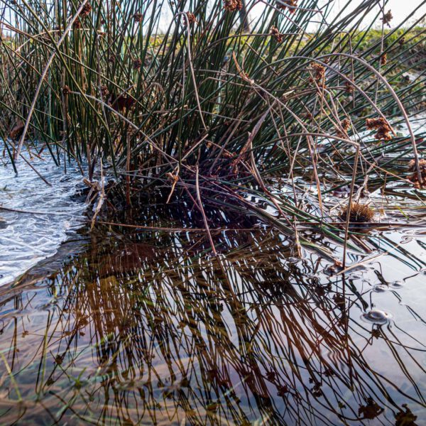 Deutschland, Europa, Europe, Germany, Gladenbach, Hessen, Hessia, Location, Ort, Schnee, Snow, Winter
