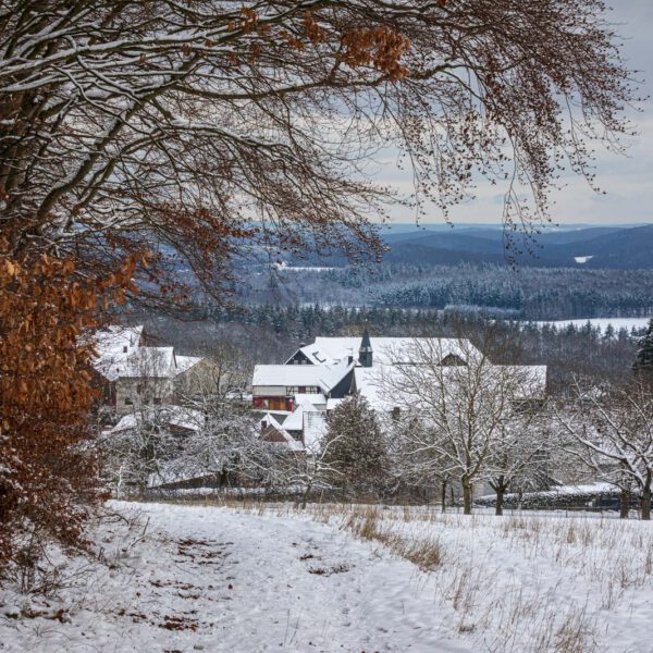 Deutschland, Europa, Europe, Germany, Gladenbach, Hessen, Hessia, Location, Natur, Nature, Ort, Rachelshausen, Schnee, Snow, Winter