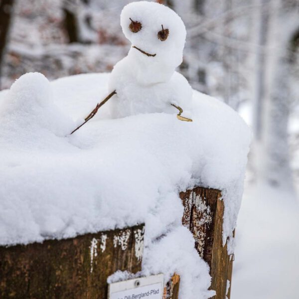 Deutschland, Europa, Europe, Germany, Gladenbach, Hessen, Hessia, Location, Natur, Nature, Ort, Rachelshausen, Schnee, Snow, Winter