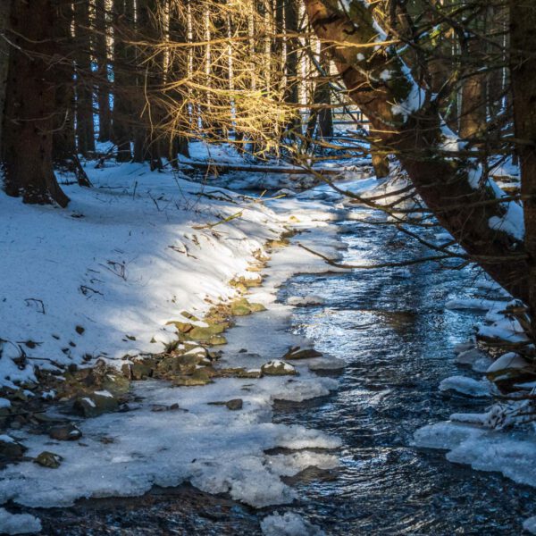Bach, Deutschland, Europa, Europe, Germany, Hessen, Hessia, Hinterland, Hörle, Lahn-Dill-Bergland, Location, Ort, Wandern, Winter