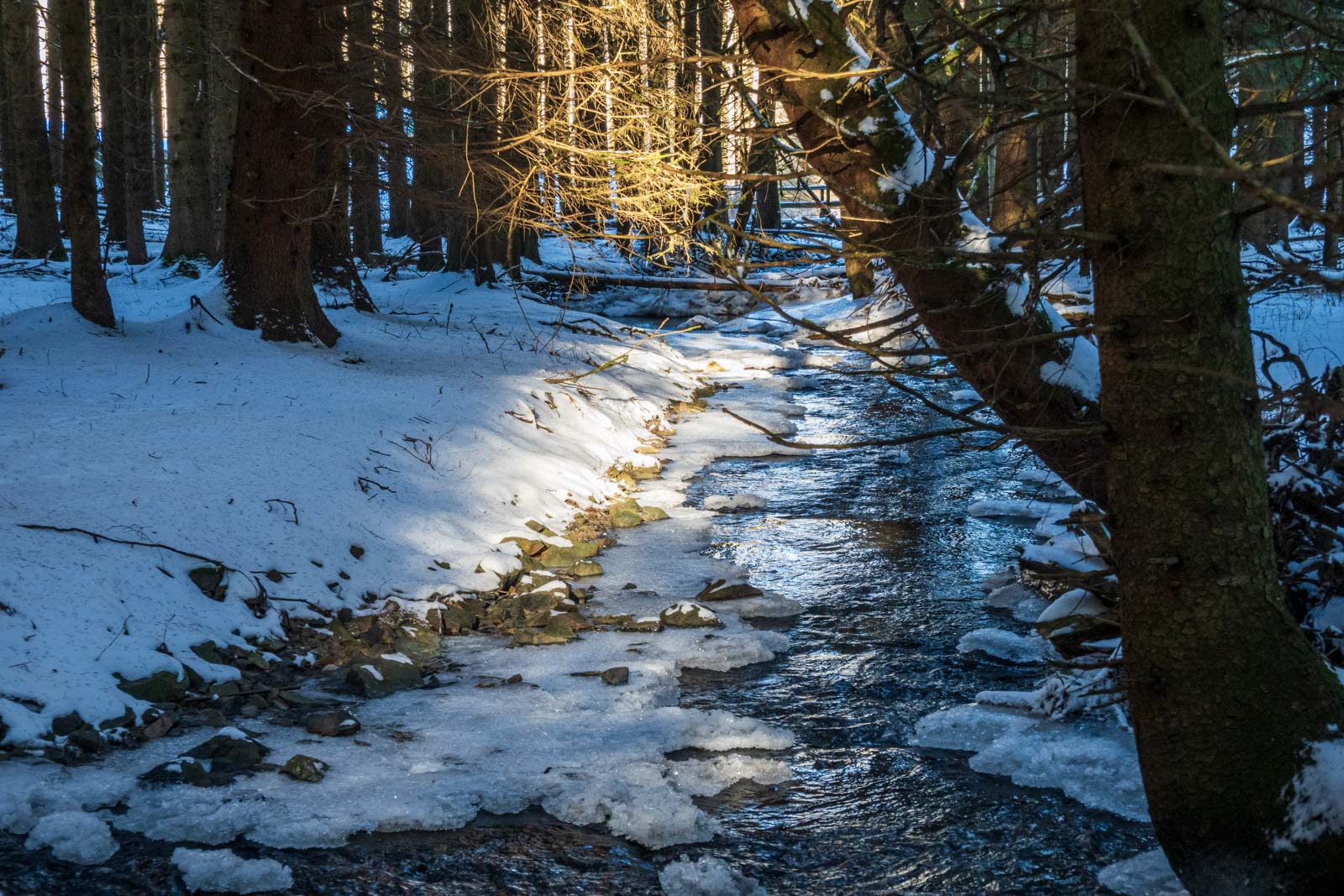 Bach, Deutschland, Europa, Europe, Germany, Hessen, Hessia, Hinterland, Hörle, Lahn-Dill-Bergland, Location, Ort, Wandern, Winter