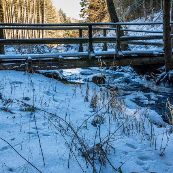 Bach, Deutschland, Europa, Europe, Germany, Hessen, Hessia, Hinterland, Hörle, Lahn-Dill-Bergland, Location, Ort, Wandern, Winter