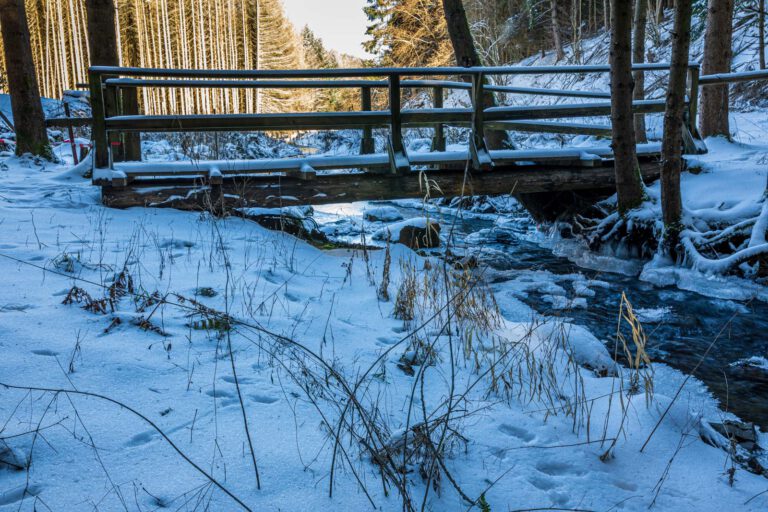 Bach, Deutschland, Europa, Europe, Germany, Hessen, Hessia, Hinterland, Hörle, Lahn-Dill-Bergland, Location, Ort, Wandern, Winter