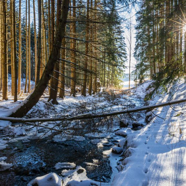 Bach, Deutschland, Europa, Europe, Germany, Hessen, Hessia, Hinterland, Hörle, Lahn-Dill-Bergland, Location, Ort, Wandern, Winter