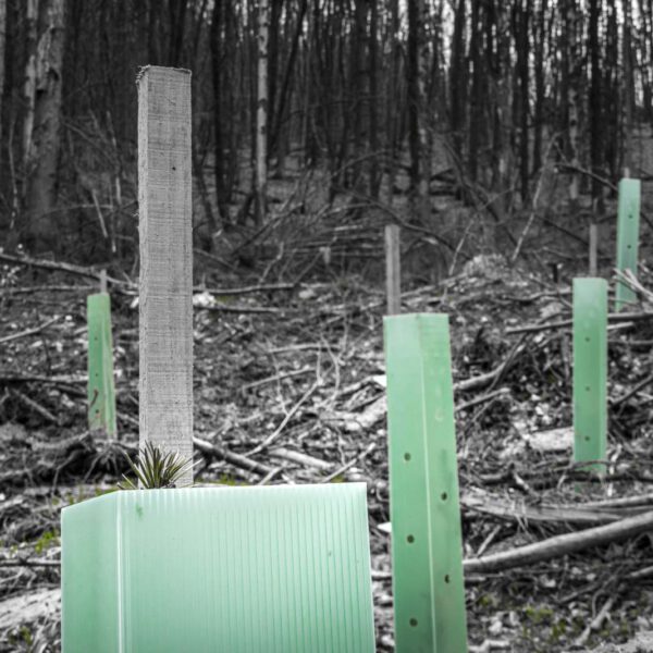 Deutschland, Europa, Europe, Frühling, Germany, Gladenbach, Hessen, Hessia, Location, Ort, Spring