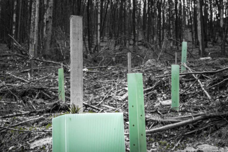 Deutschland, Europa, Europe, Frühling, Germany, Gladenbach, Hessen, Hessia, Location, Ort, Spring