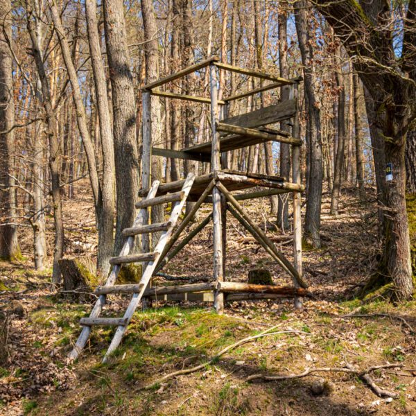 Ansitz, Deutschland, Europa, Europe, Frühling, Germany, Gladenbach, Hessen, Hessia, Location, Ort, Spring