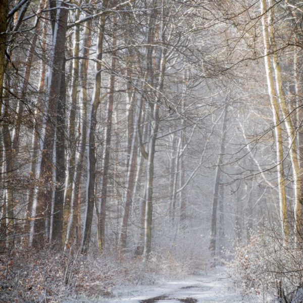Deutschland, Europa, Europe, Frühling, Germany, Gladenbach, Hessen, Hessia, Location, Ort, Schnee, Snow, Spring
