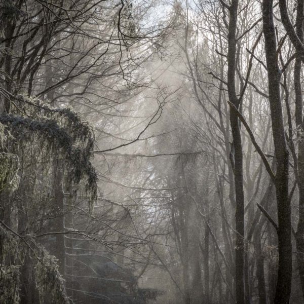 Deutschland, Europa, Europe, Frühling, Germany, Gladenbach, Hessen, Hessia, Location, Ort, Schnee, Snow, Spring