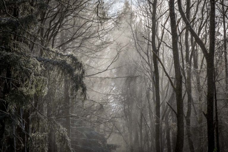Deutschland, Europa, Europe, Frühling, Germany, Gladenbach, Hessen, Hessia, Location, Ort, Schnee, Snow, Spring