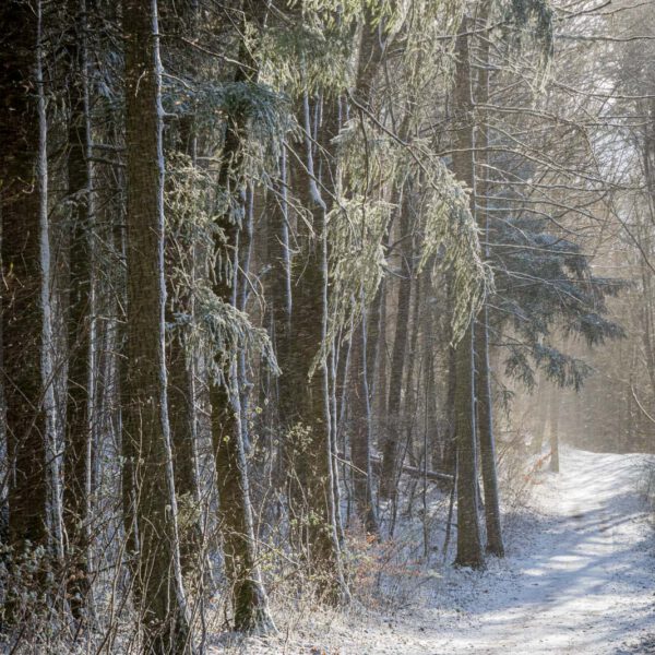 Deutschland, Europa, Europe, Frühling, Germany, Gladenbach, Hessen, Hessia, Location, Ort, Schnee, Snow, Spring