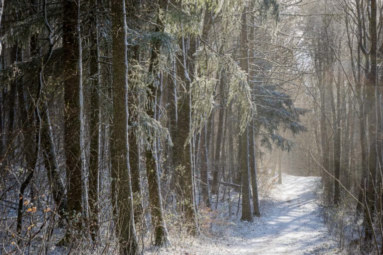 Deutschland, Europa, Europe, Frühling, Germany, Gladenbach, Hessen, Hessia, Location, Ort, Schnee, Snow, Spring