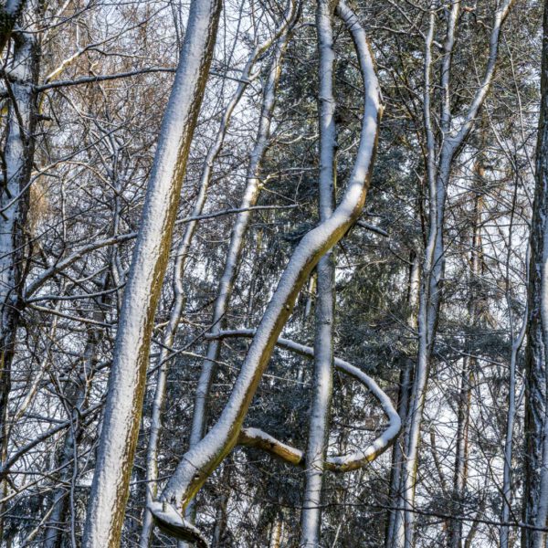 Deutschland, Europa, Europe, Frühling, Germany, Gladenbach, Hessen, Hessia, Location, Ort, Schnee, Snow, Spring