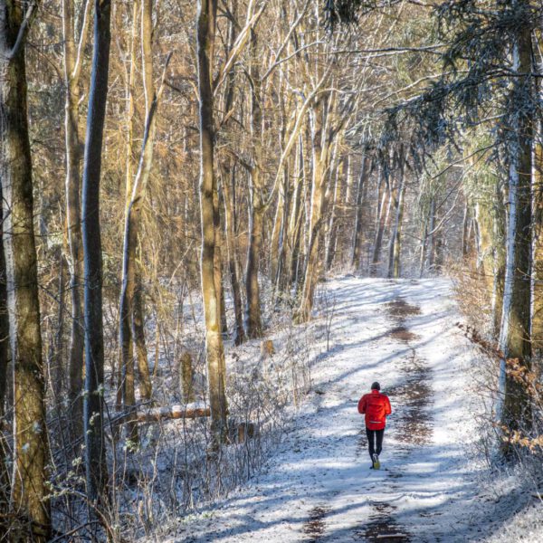 Deutschland, Europa, Europe, Frühling, Germany, Gladenbach, Hessen, Hessia, Location, Ort, Schnee, Snow, Spring