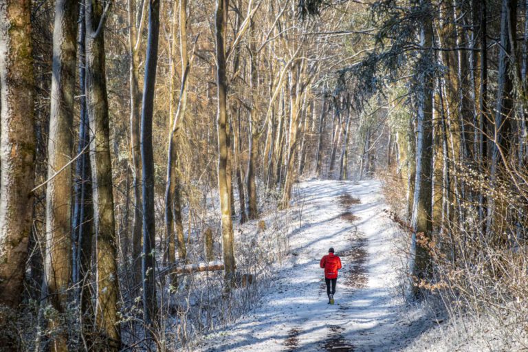 Deutschland, Europa, Europe, Frühling, Germany, Gladenbach, Hessen, Hessia, Location, Ort, Schnee, Snow, Spring