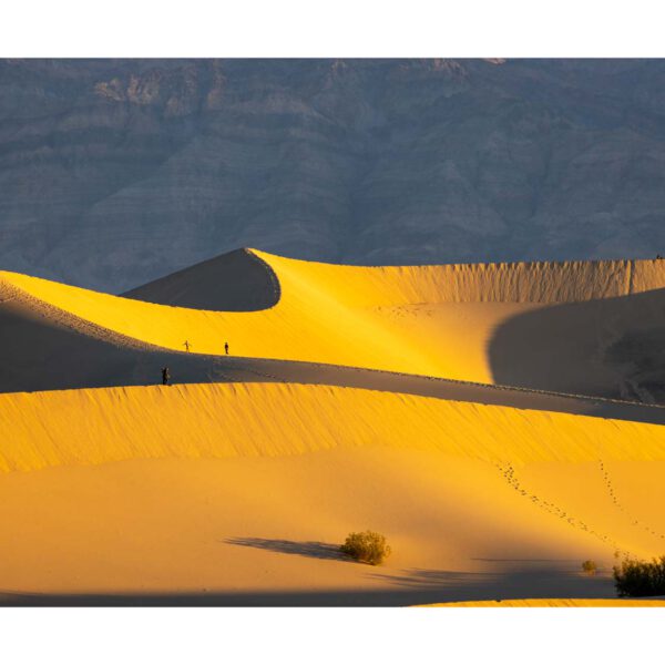 Holidays, USA, Urlaub, Vereinigte Staaten, West, Westen