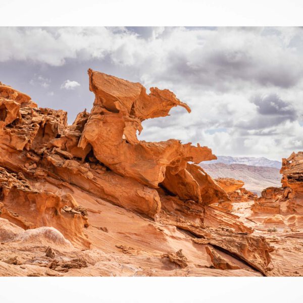 Holidays, USA, Urlaub, Vereinigte Staaten, West, Westen