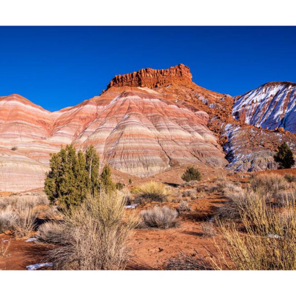 Holidays, USA, Urlaub, Vereinigte Staaten, West, Westen