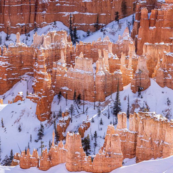 Holidays, USA, Urlaub, Vereinigte Staaten, West, Westen