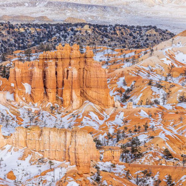 Holidays, USA, Urlaub, Vereinigte Staaten, West, Westen