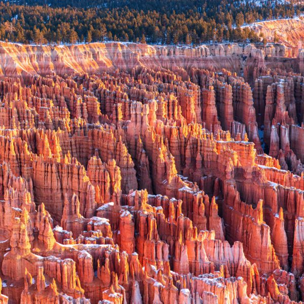 Holidays, USA, Urlaub, Vereinigte Staaten, West, Westen