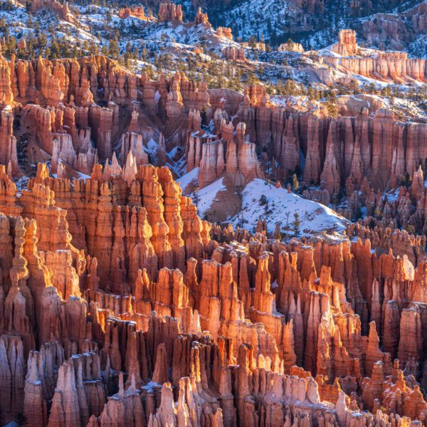 Holidays, USA, Urlaub, Vereinigte Staaten, West, Westen