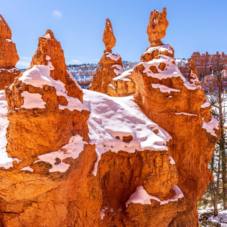 Holidays, USA, Urlaub, Vereinigte Staaten, West, Westen