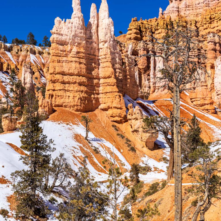 Holidays, USA, Urlaub, Vereinigte Staaten, West, Westen