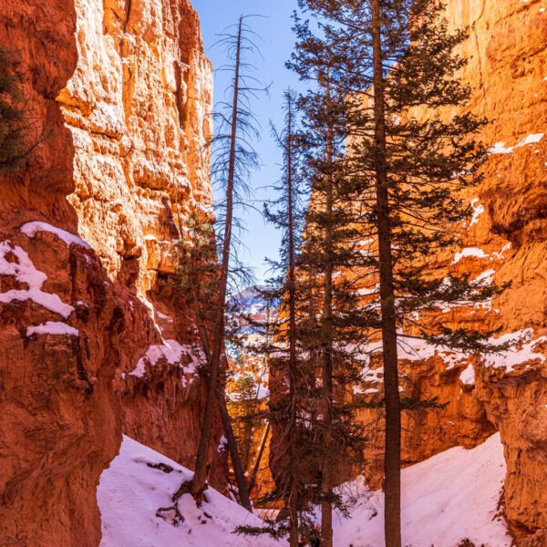 Holidays, USA, Urlaub, Vereinigte Staaten, West, Westen