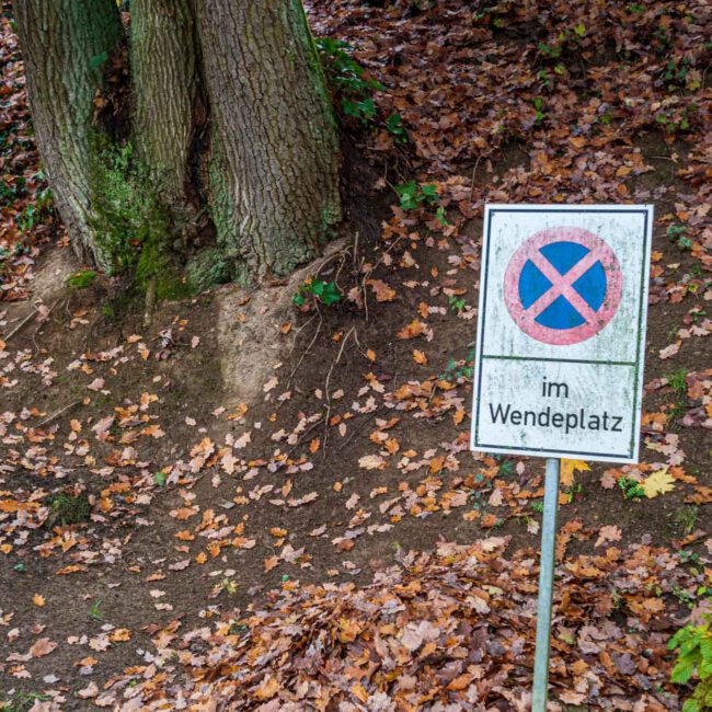 Klima, Laub, Nachgedacht, Vorbeigeschaut