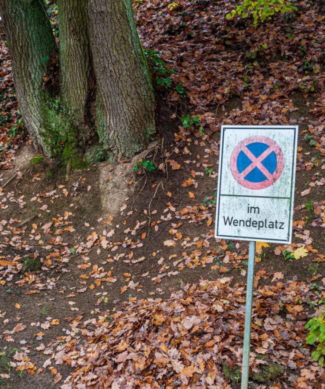 Klima, Laub, Nachgedacht, Vorbeigeschaut