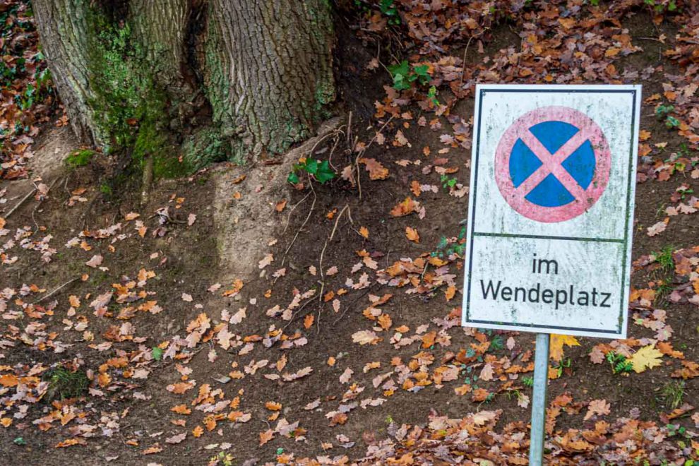 Klima, Laub, Nachgedacht, Vorbeigeschaut